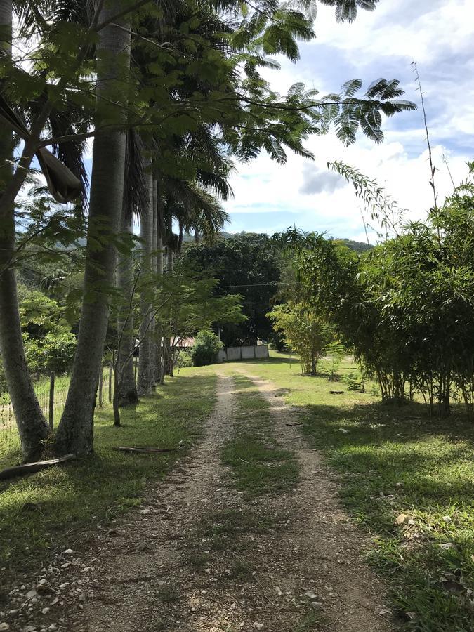 Cabanas Maya Rue Palenque Luaran gambar